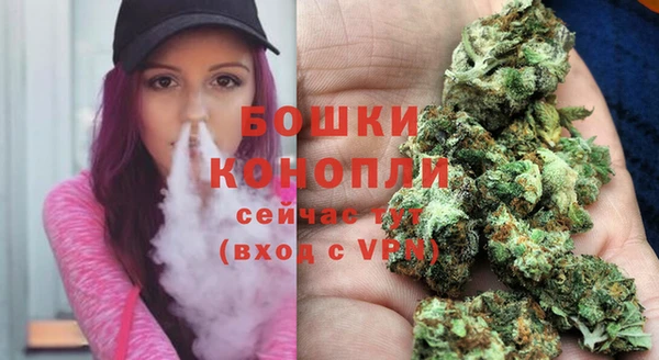 стафф Белокуриха