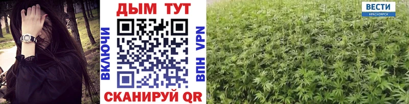 Купить закладки  Приволжский  Каннабис THC 21% 